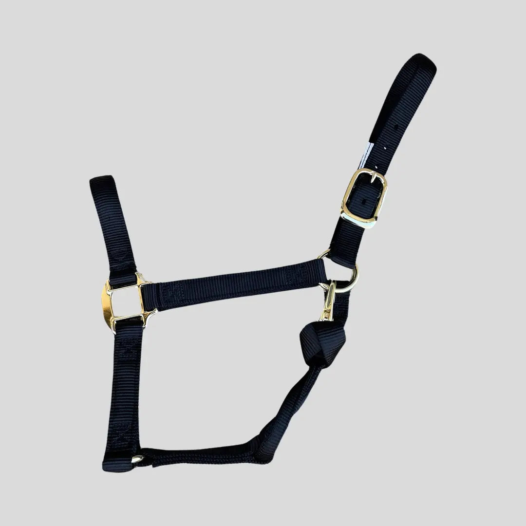 Halter Nylon with Replaceable Throat Snap, Draft Horse 1500 - 2000 lbs #26356 The Epic Animal