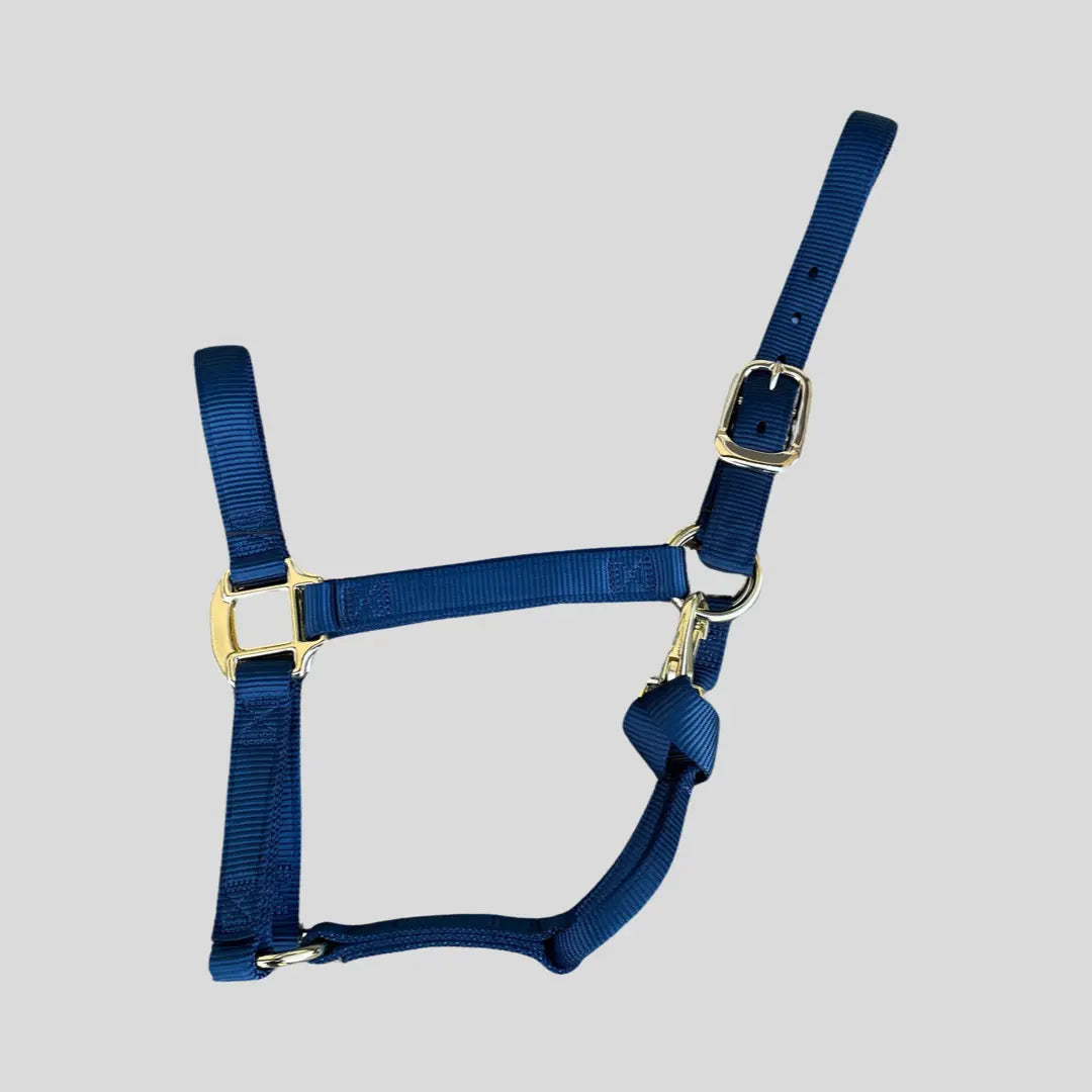 Halter Nylon with Replaceable Throat Snap Horse Size 800-1100 lbs The Epic Animal