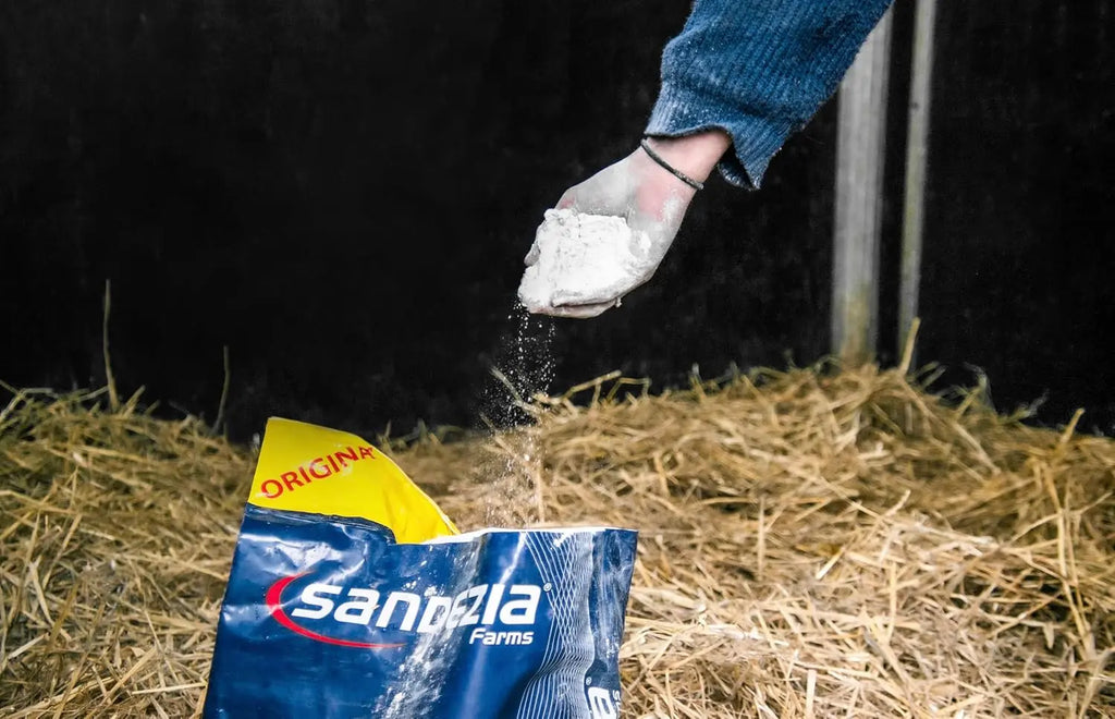 Sandezia Bedding Drying Powder - Order Eliminator, Fresh Eucalyptus The Epic Animal