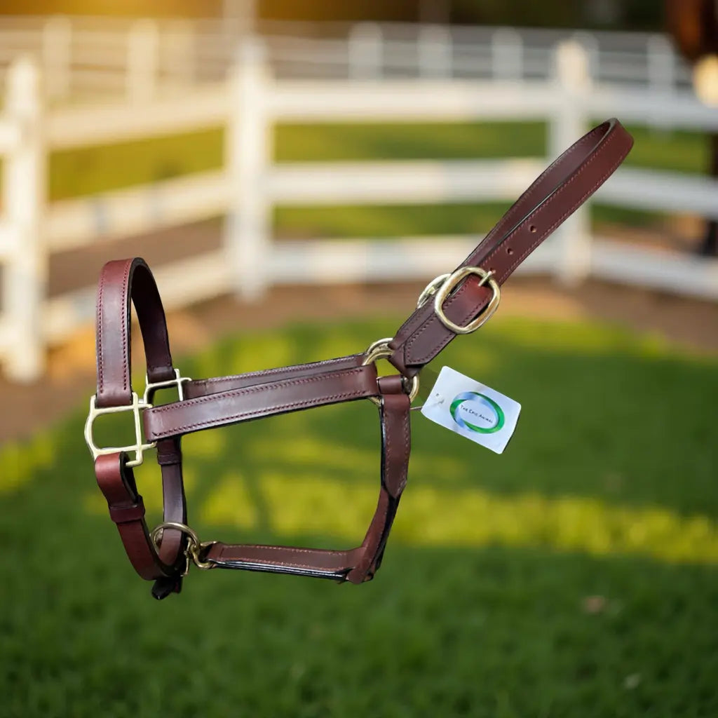 Deluxe Leather Halter, Double Buckles, Polished Brass Hardware #92010 The Epic Animal
