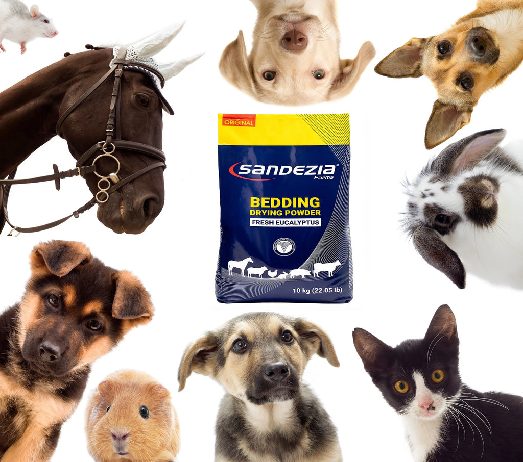 Sandezia Bedding Drying Powder - Order Eliminator, Fresh Eucalyptus The Epic Animal