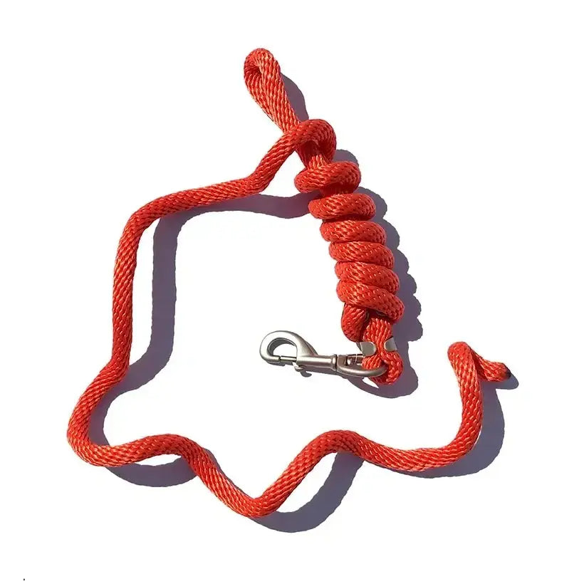 5/8" x 9' Poly Lead Rope, Nickel Plated Bolt Snap, Solid Colors The Epic Animal