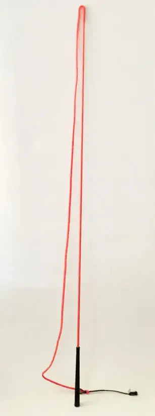 Whip Lunge 65", 73" Drop, 10" Popper The Epic Animal