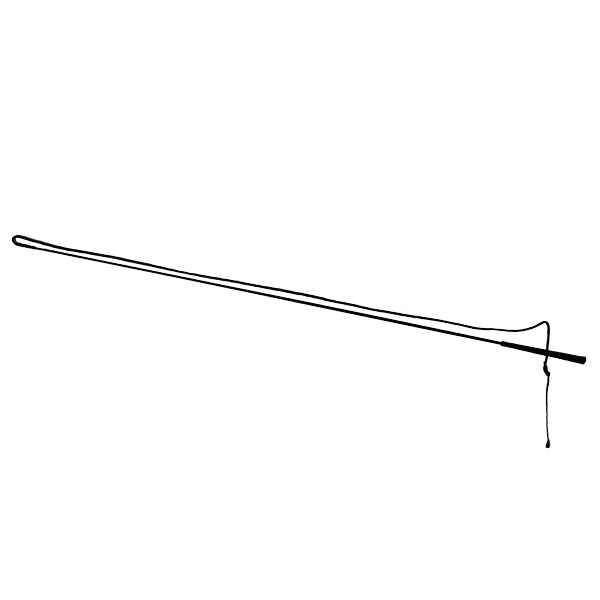 Whip Lunge 65", 73" Drop, 10" Popper The Epic Animal