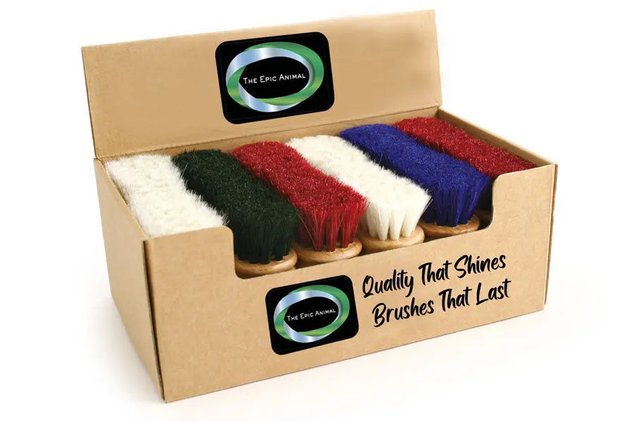 4 1/2" Face Brush Counter Display Variety: Blue, Red, White & Hunter Green #EA2284 The Epic Animal