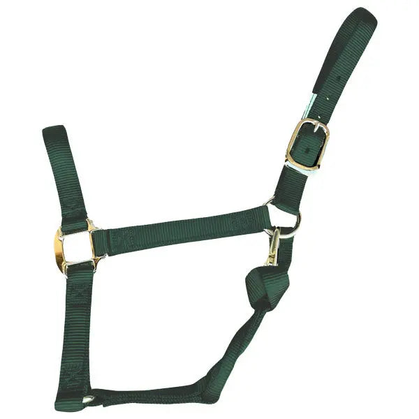 Halter Nylon with Replaceable Throat Snap Horse Size 800-1100 lbs The Epic Animal