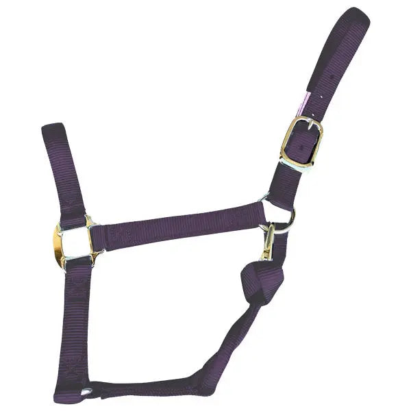 Halter Nylon with Replaceable Throat Snap Horse Size 800-1100 lbs The Epic Animal