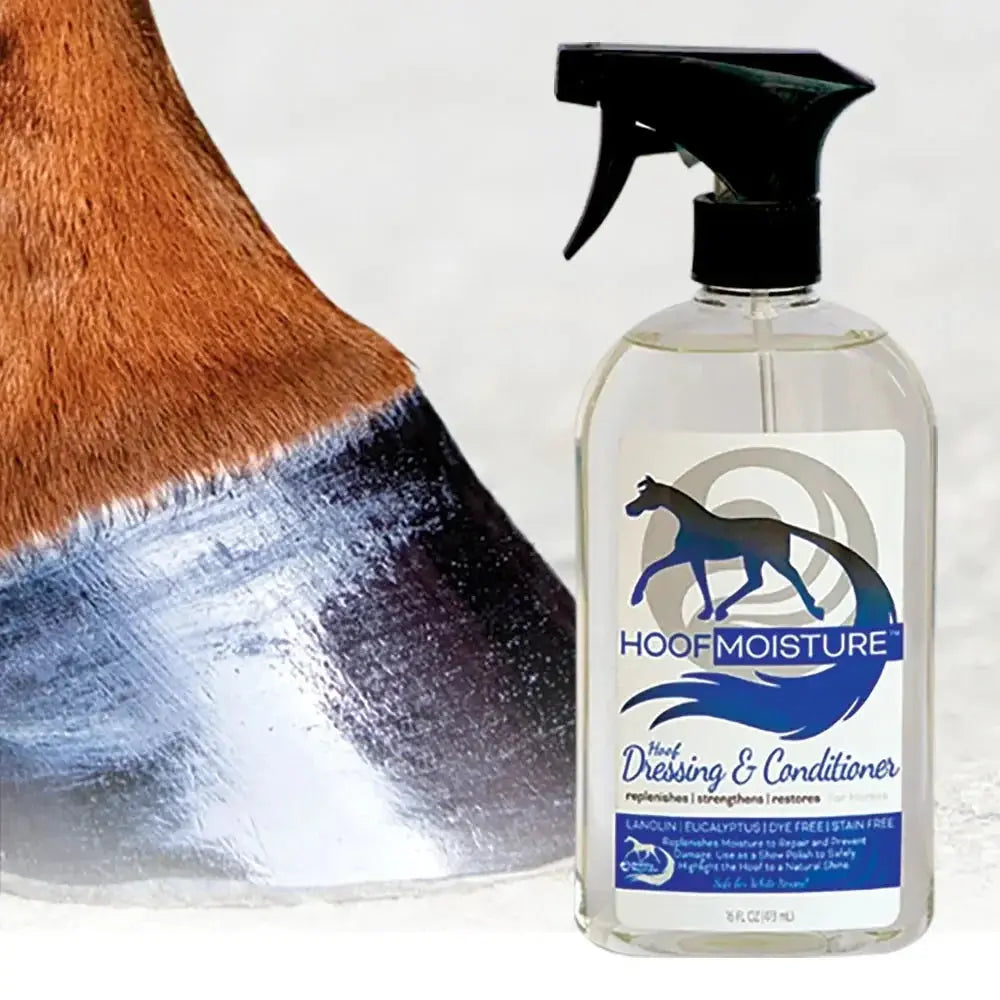 Hoof Moisture The Epic Animal