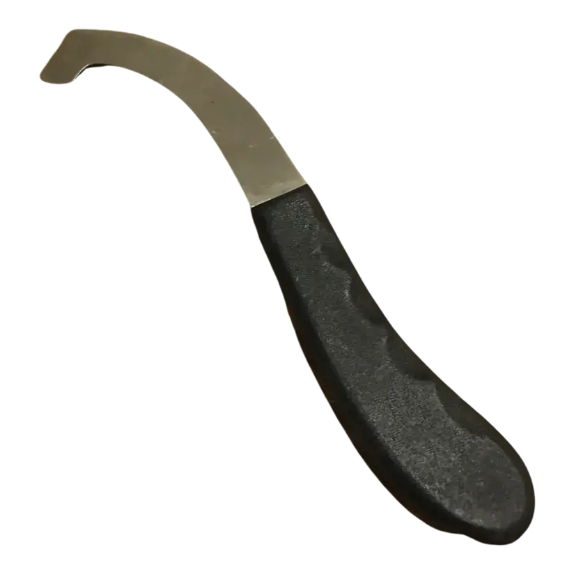 Bot Egg Scraper Stainless Steel #45420 The Epic Animal