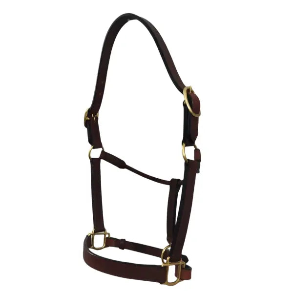 Deluxe Leather Halter, Double Buckles, Polished Brass Hardware #92010 The Epic Animal