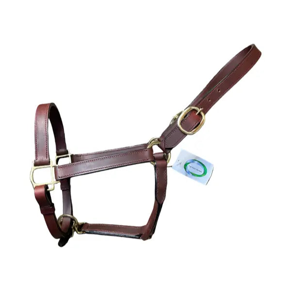 Deluxe Leather Halter, Double Buckles, Polished Brass Hardware #92010 The Epic Animal