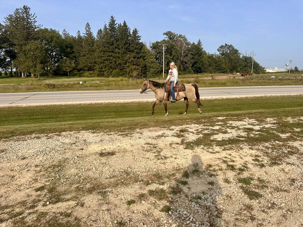 12-Year-Old Buckskin Mare – Solid Trail Horse