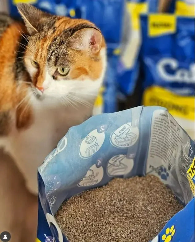 Calitti EXTREME Clumping Clay Unscented 20 LB #223888 The Epic Animal