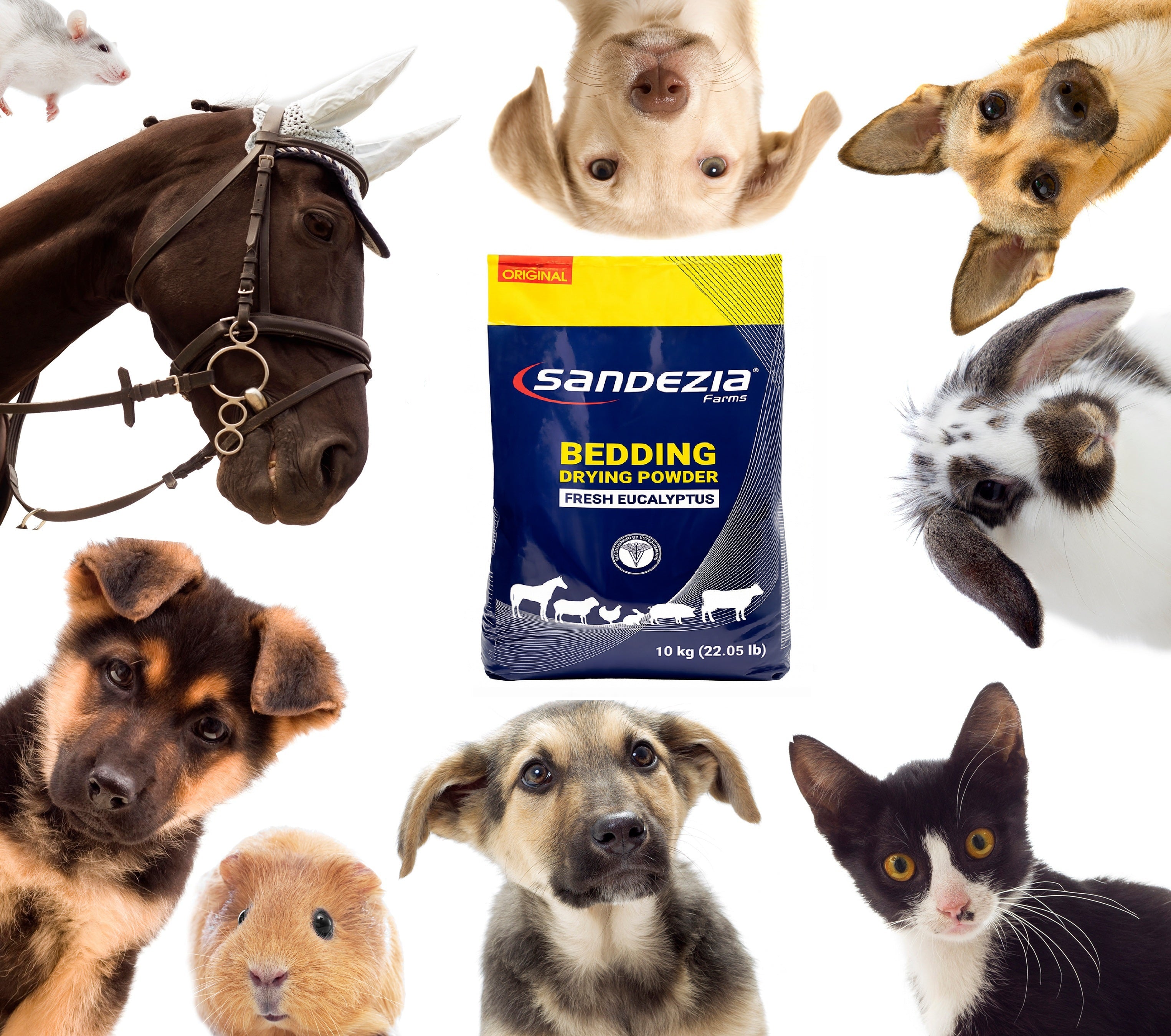 Sandezia Bedding Drying Powder - Order Eliminator 22 LBS #223376